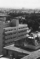 Botanische Versuchsstation der Abt. Molekularbiologie und Virologie der Pflanzen (2)